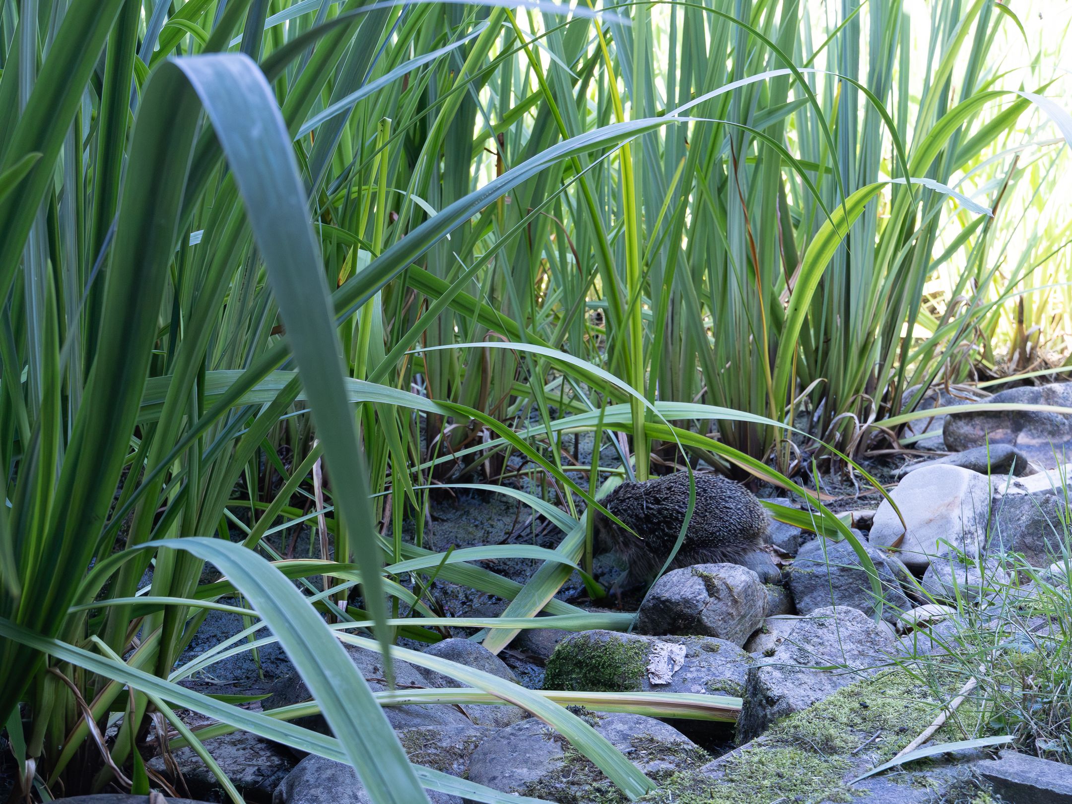 Foto 54 van Paasavond 2