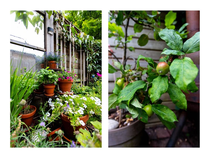 Foto 39 van Coornhertstraat 49