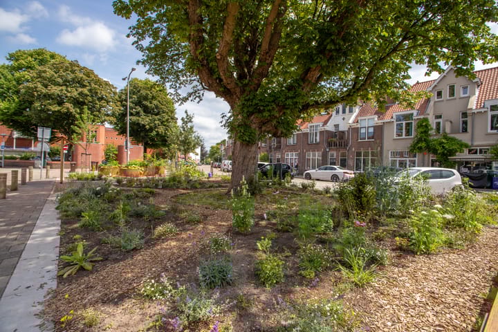 Foto 43 van Coornhertstraat 49