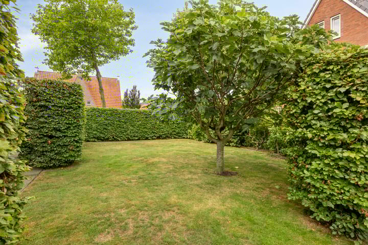 Foto 38 van Jazzroute 3