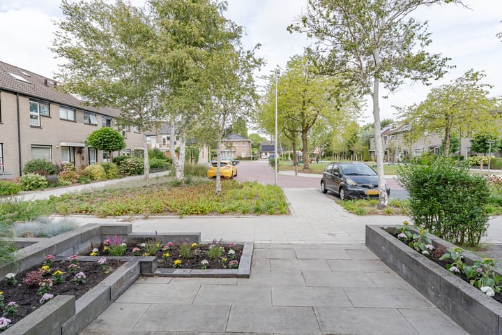 Foto 32 van Otto-erf 24