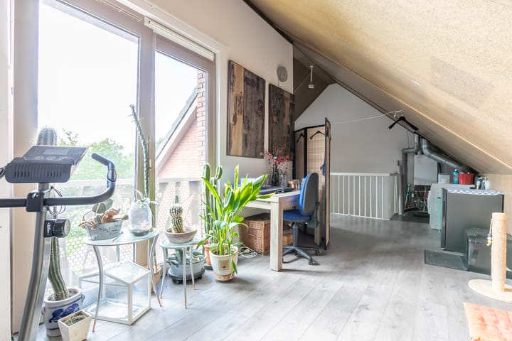 Foto 41 van Smetanastraat 13