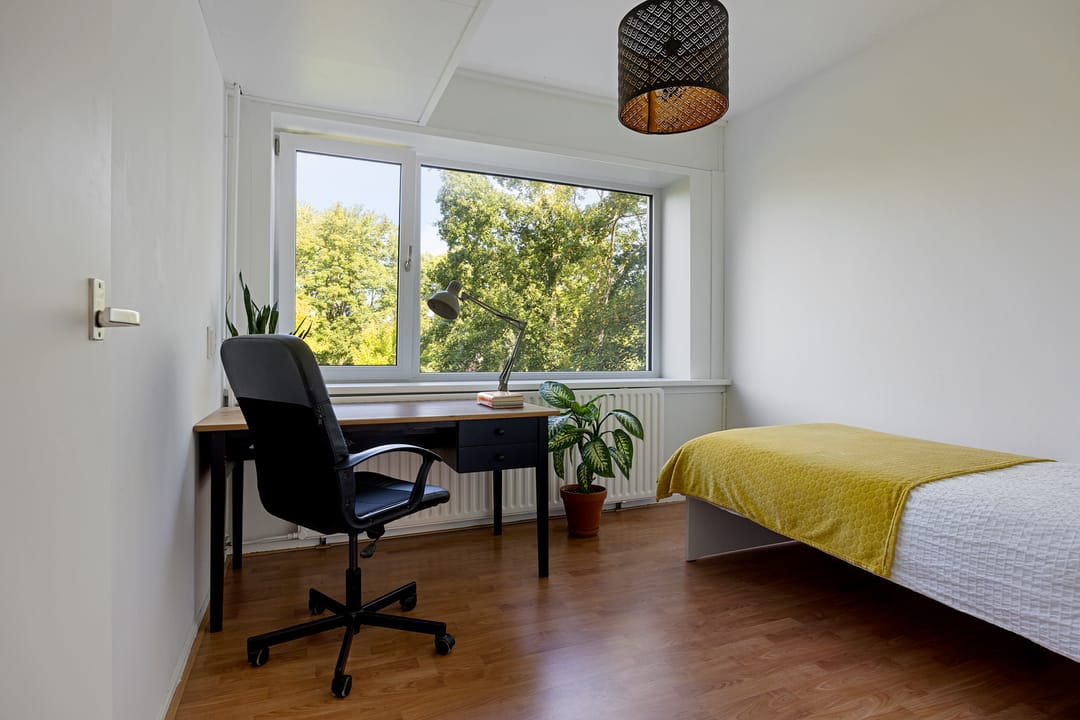 Foto 43 van Meerpaal 18