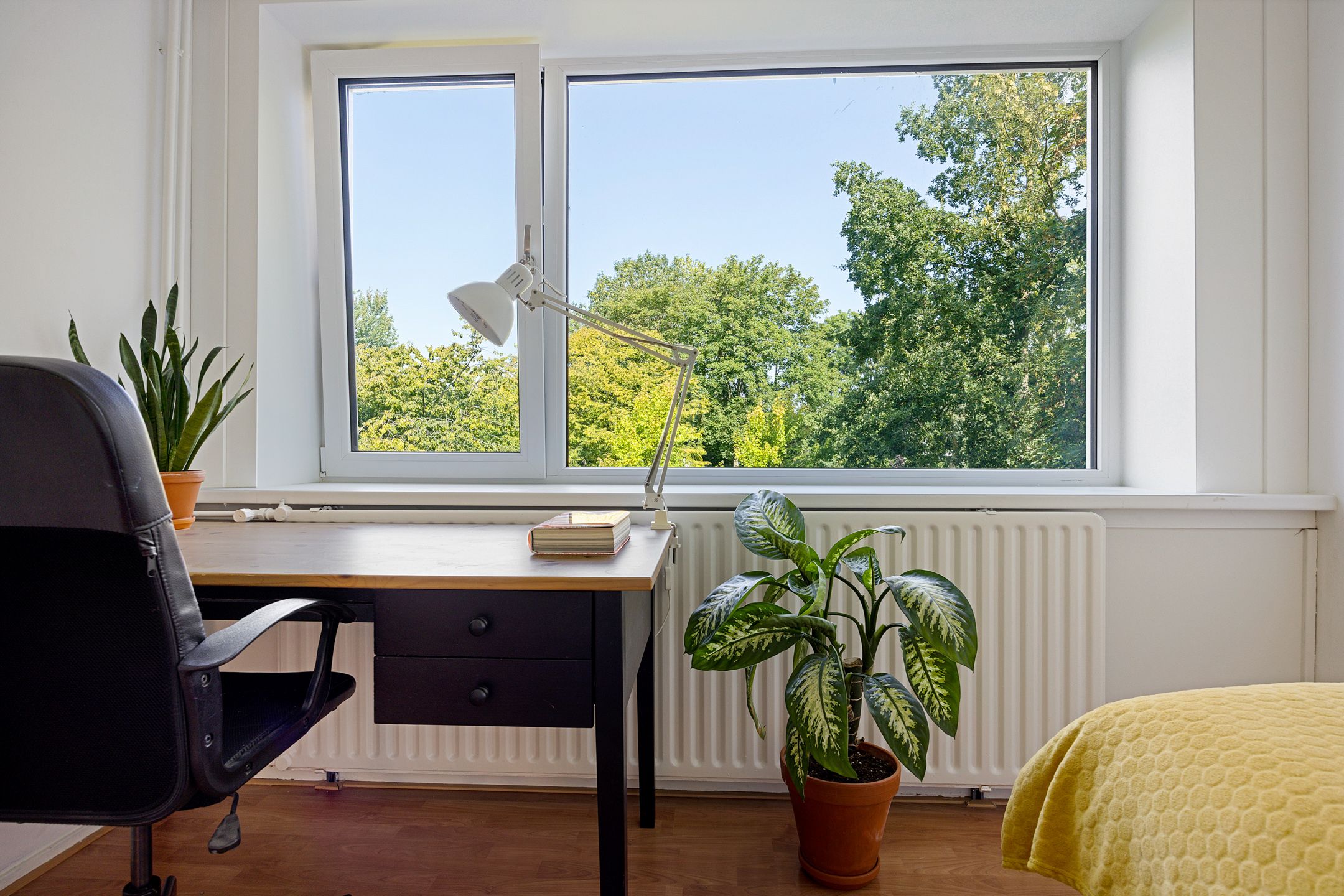 Foto 45 van Meerpaal 18