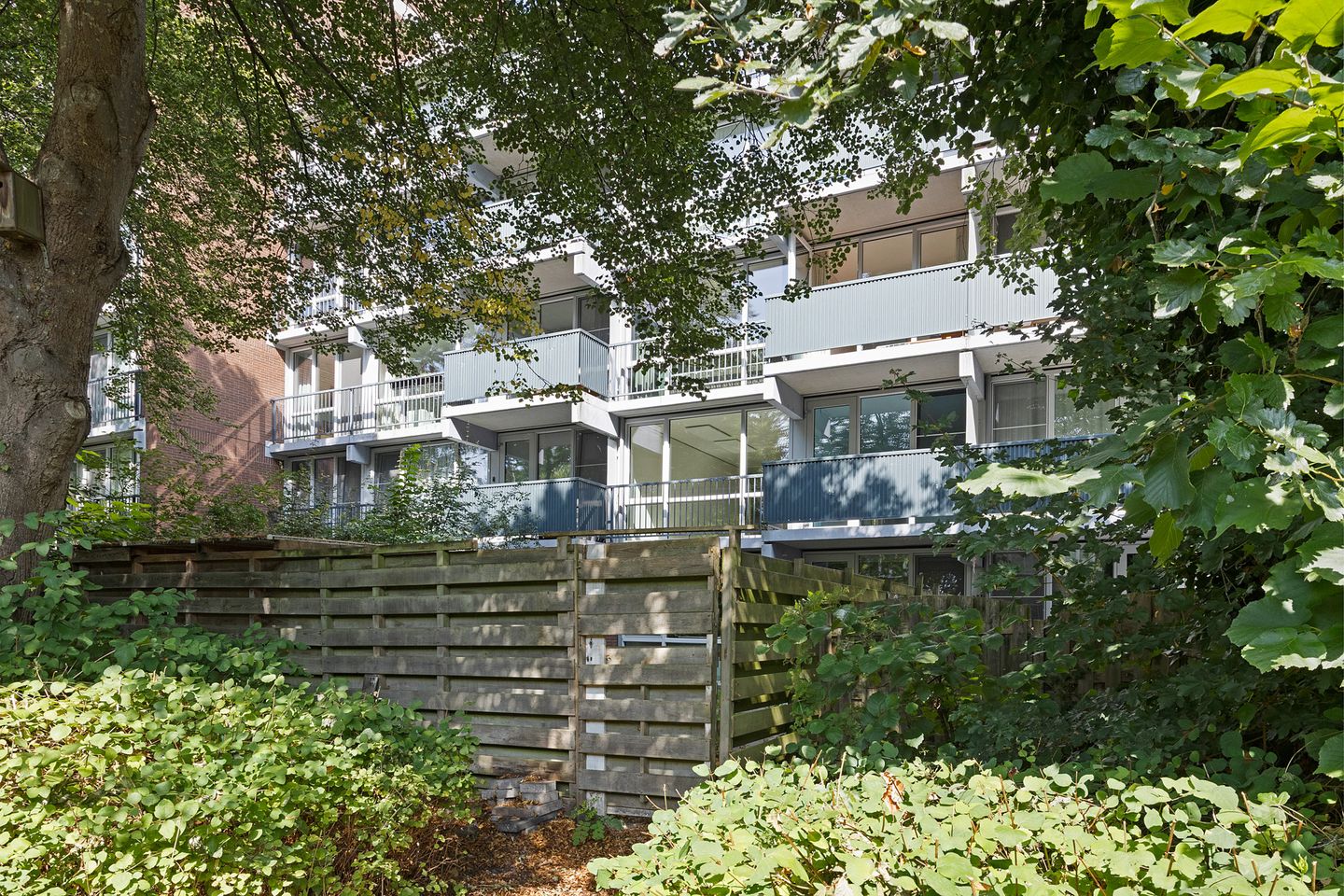 Foto 55 van Meerpaal 18