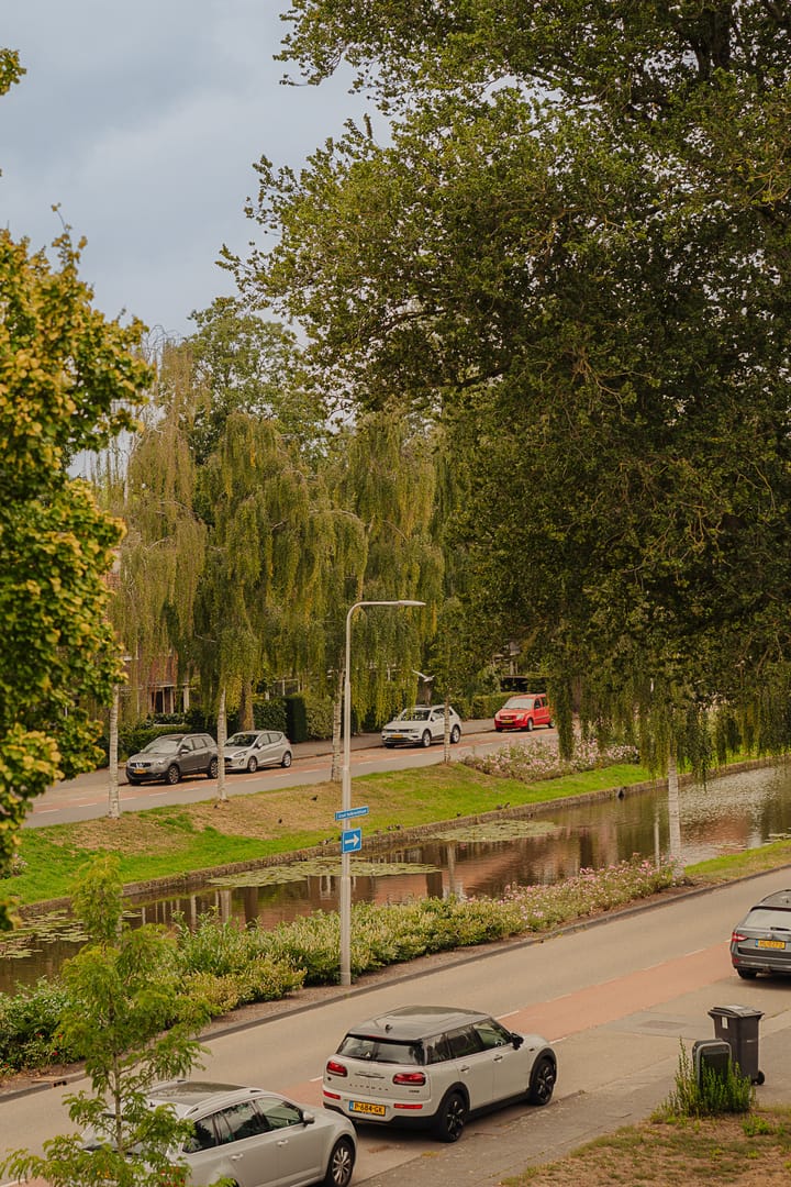 Foto 33 van Graaf Aelbrechtlaan 104