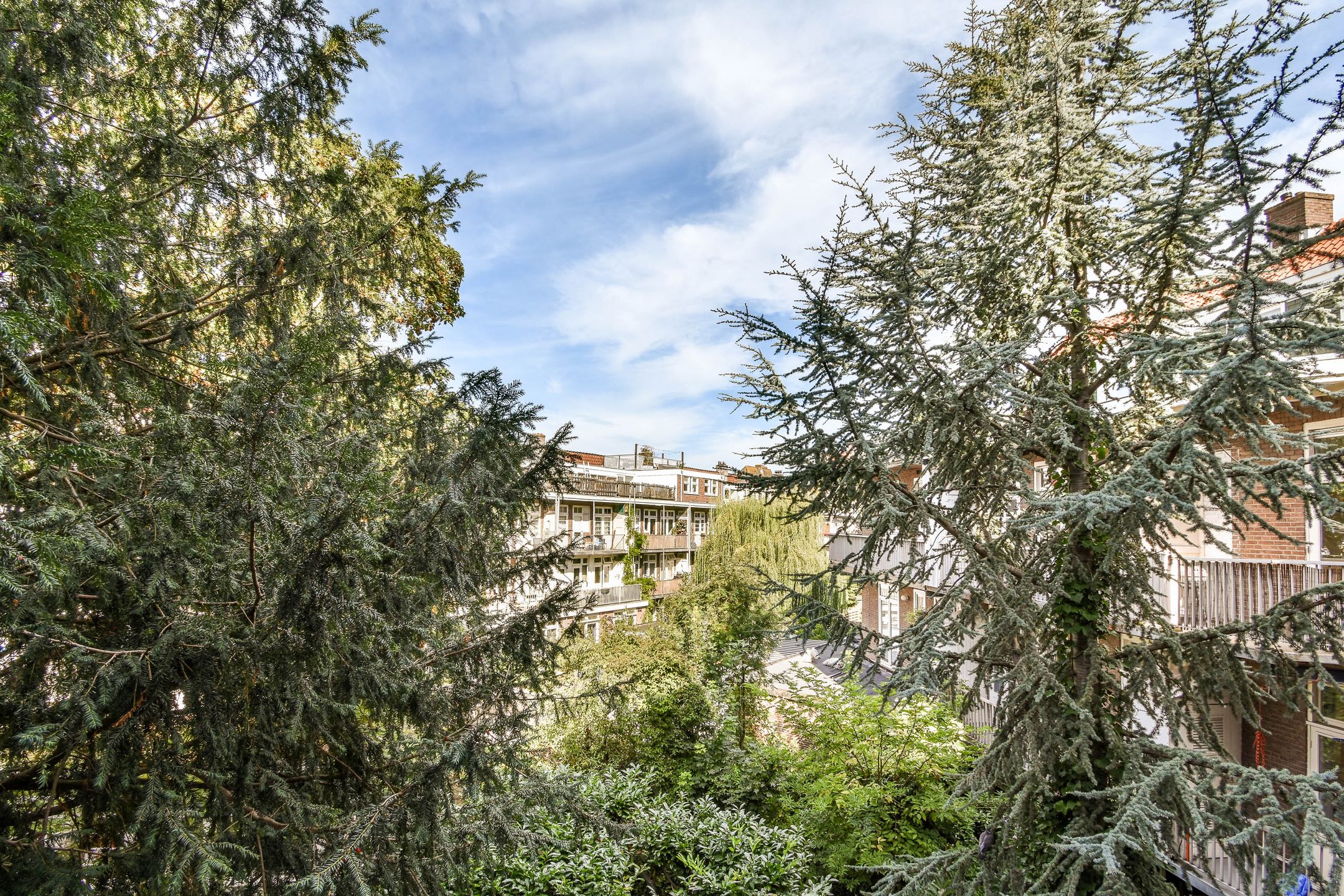 Foto 12 van Rijnsburgstraat 22-2