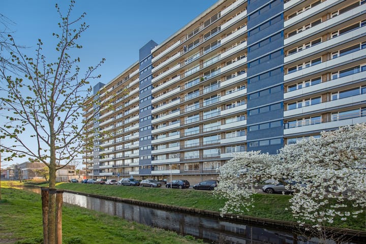 van Vredenburchweg 519