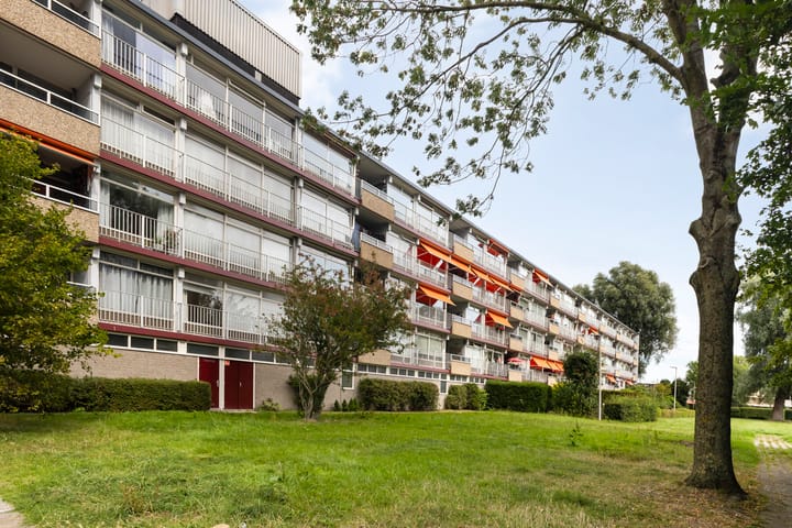 Foto 5 van de Fennen 290