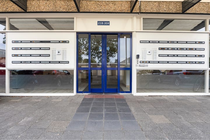 Foto 8 van de Fennen 290