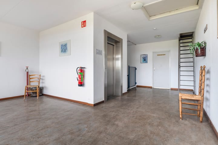 Foto 11 van de Fennen 290