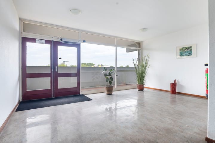 Foto 12 van de Fennen 290