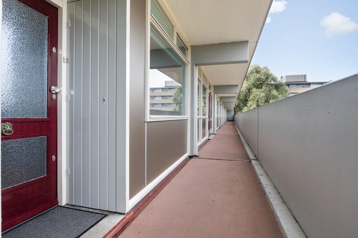 Foto 13 van de Fennen 290