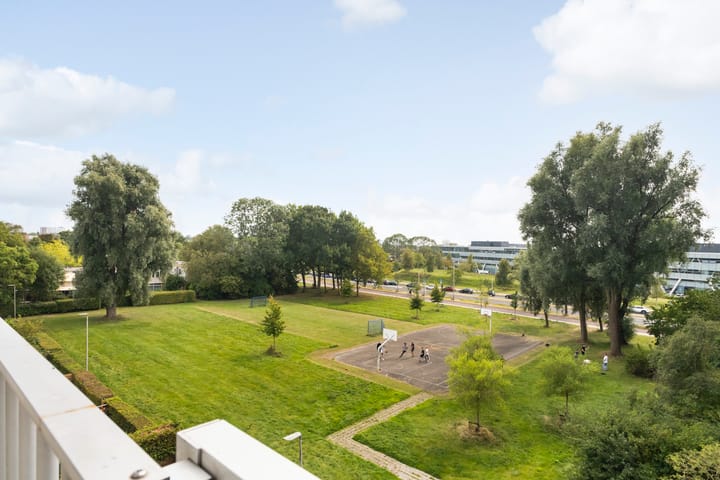 Foto 26 van de Fennen 290