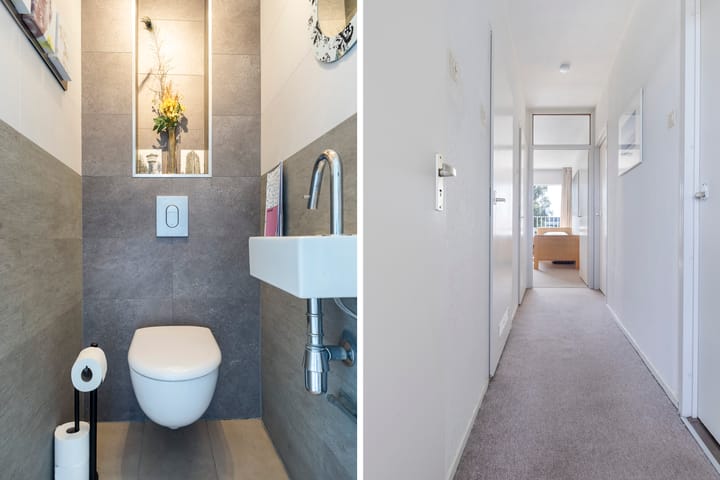 Foto 31 van de Fennen 290