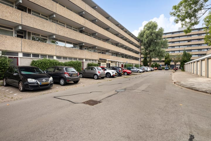 Foto 42 van de Fennen 290