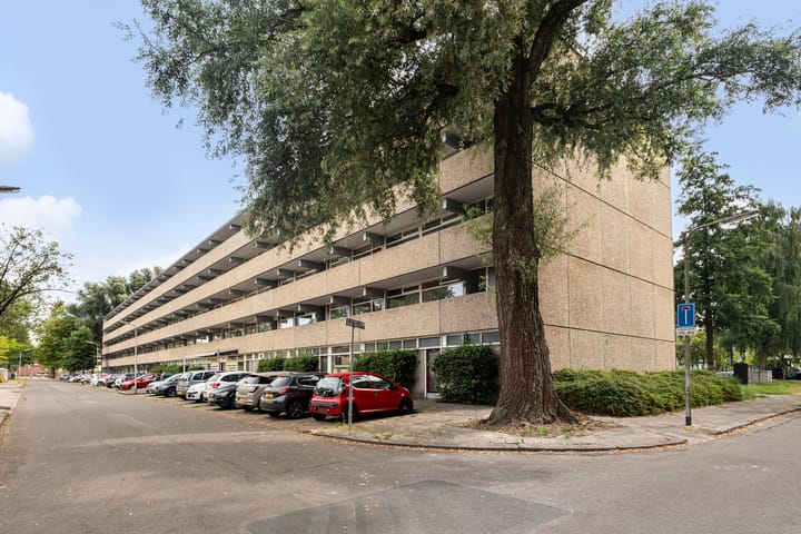 Foto 43 van de Fennen 290