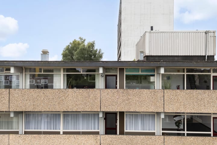 Foto 44 van de Fennen 290