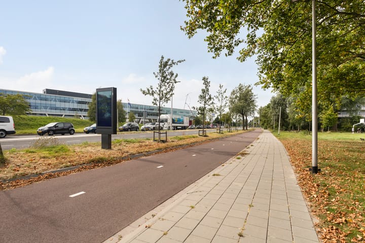 Foto 45 van de Fennen 290