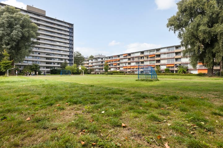 Foto 46 van de Fennen 290