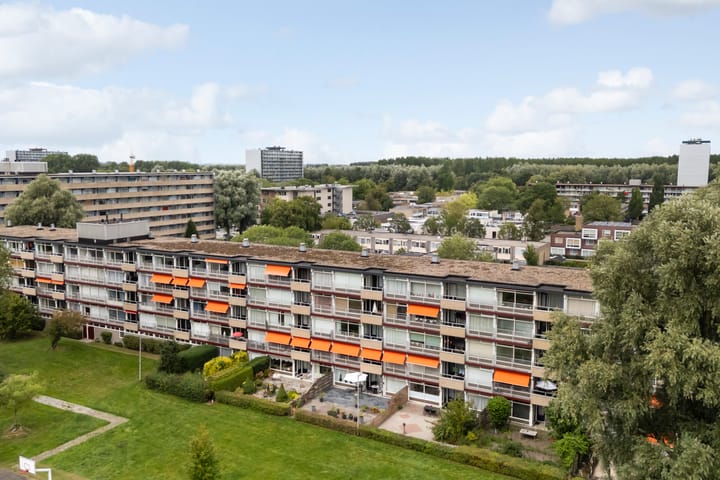 Foto 47 van de Fennen 290