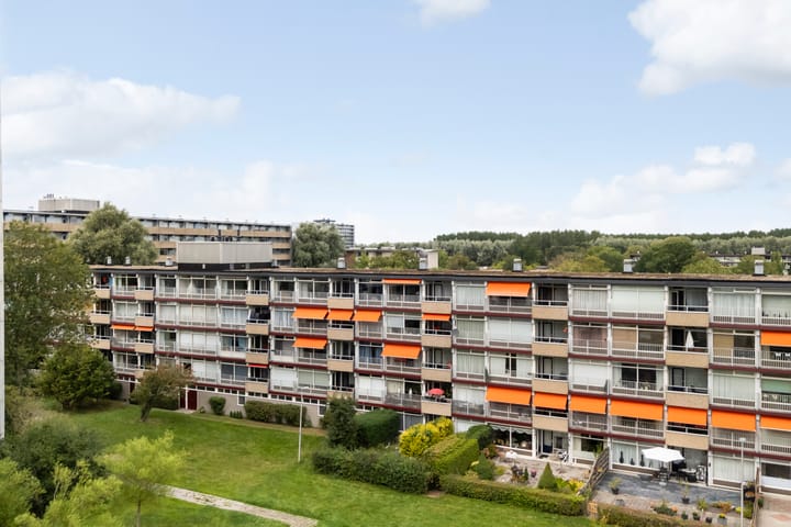 Foto 48 van de Fennen 290