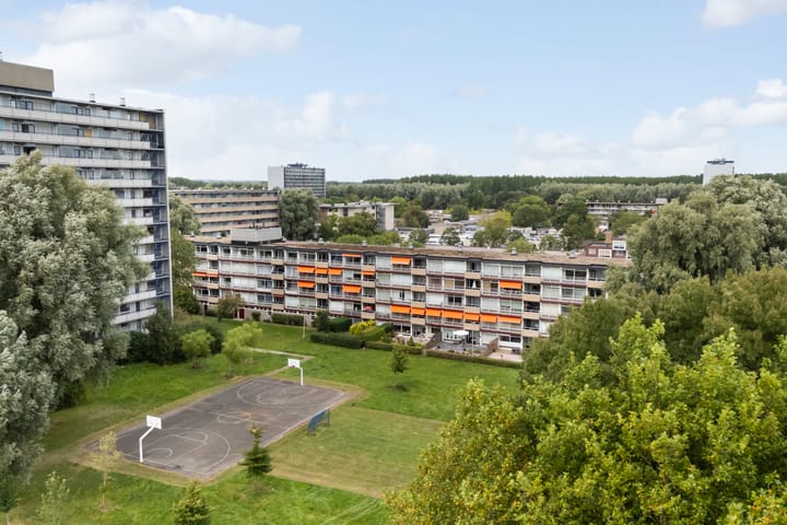 Foto 49 van de Fennen 290