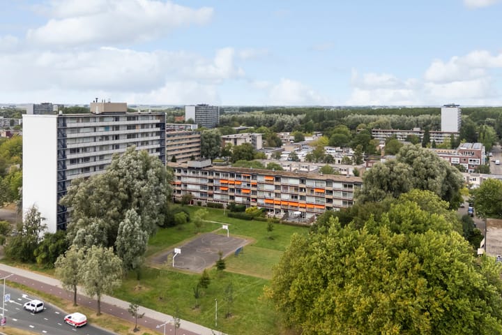 Foto 50 van de Fennen 290