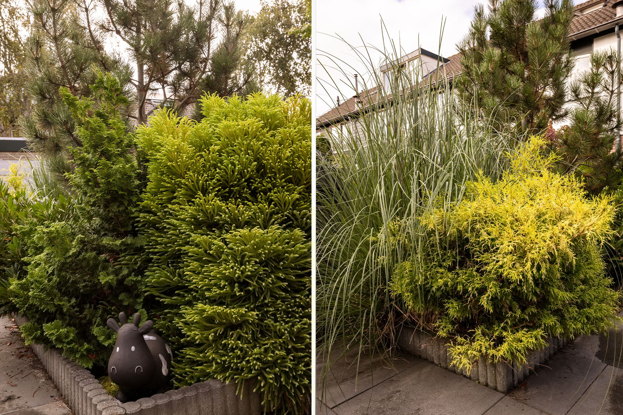 Photo 21 of Wilsonstraat 175