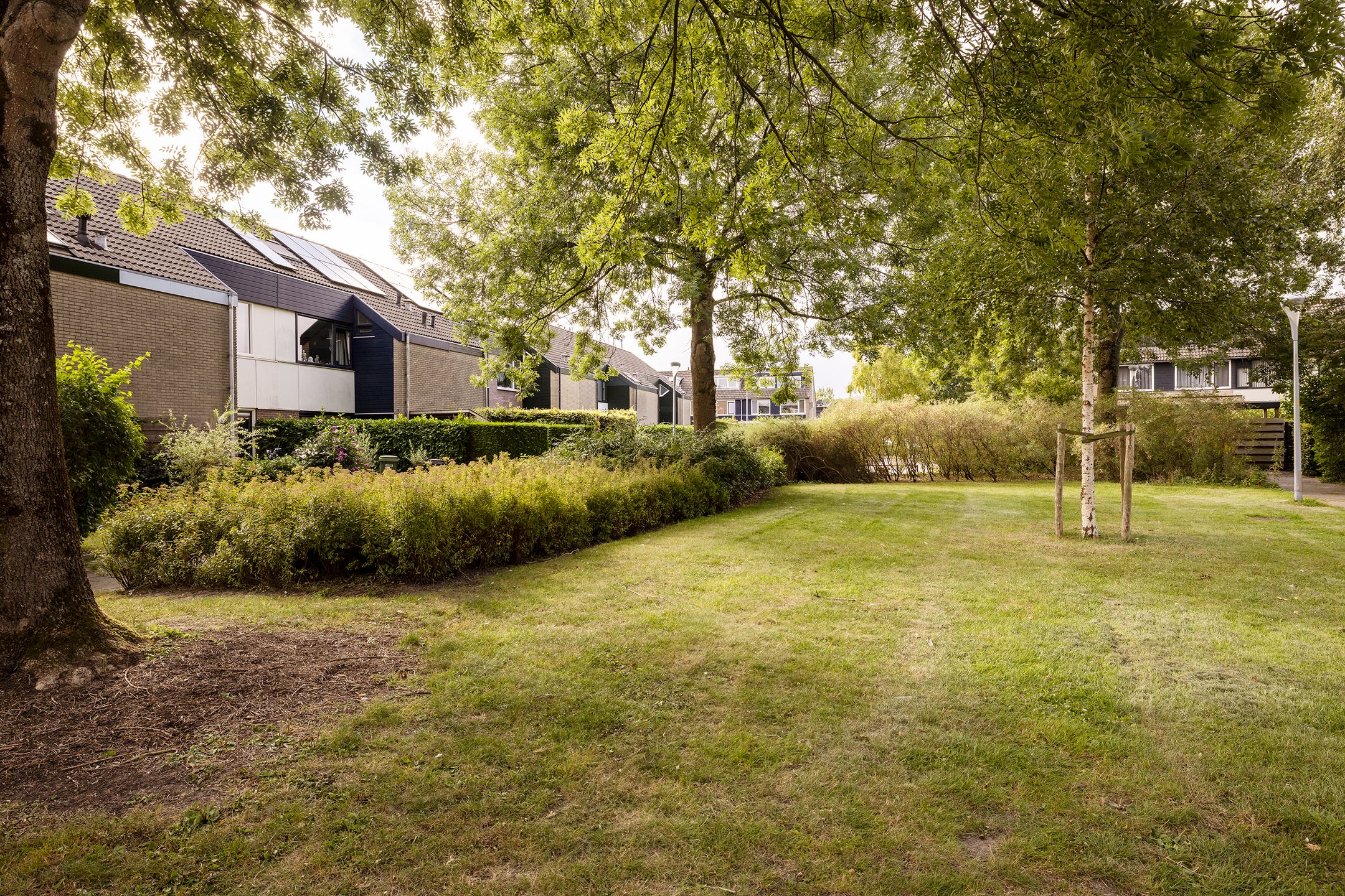 Photo 36 of Wilsonstraat 175