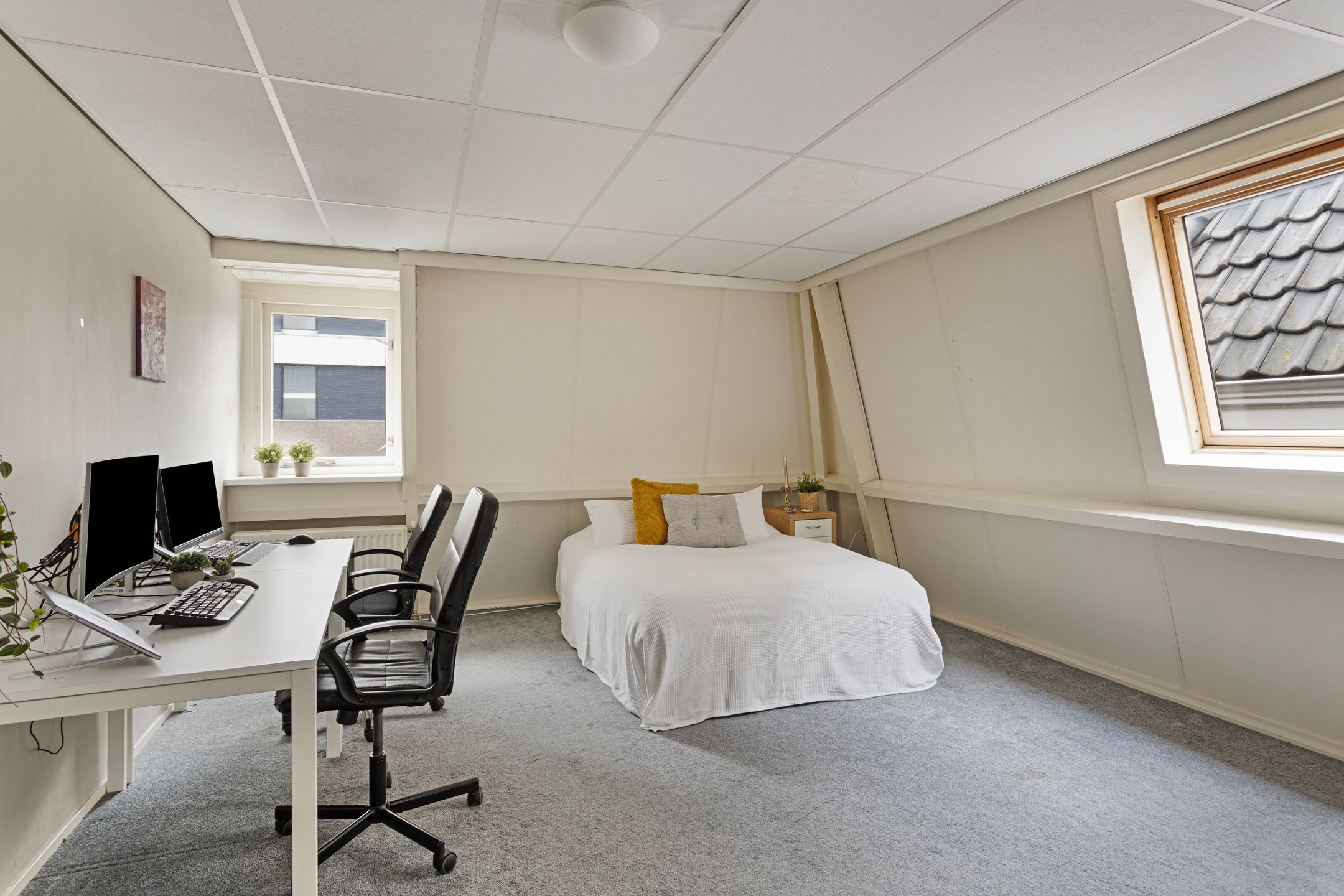 Foto 21 van De Klomp 83-A