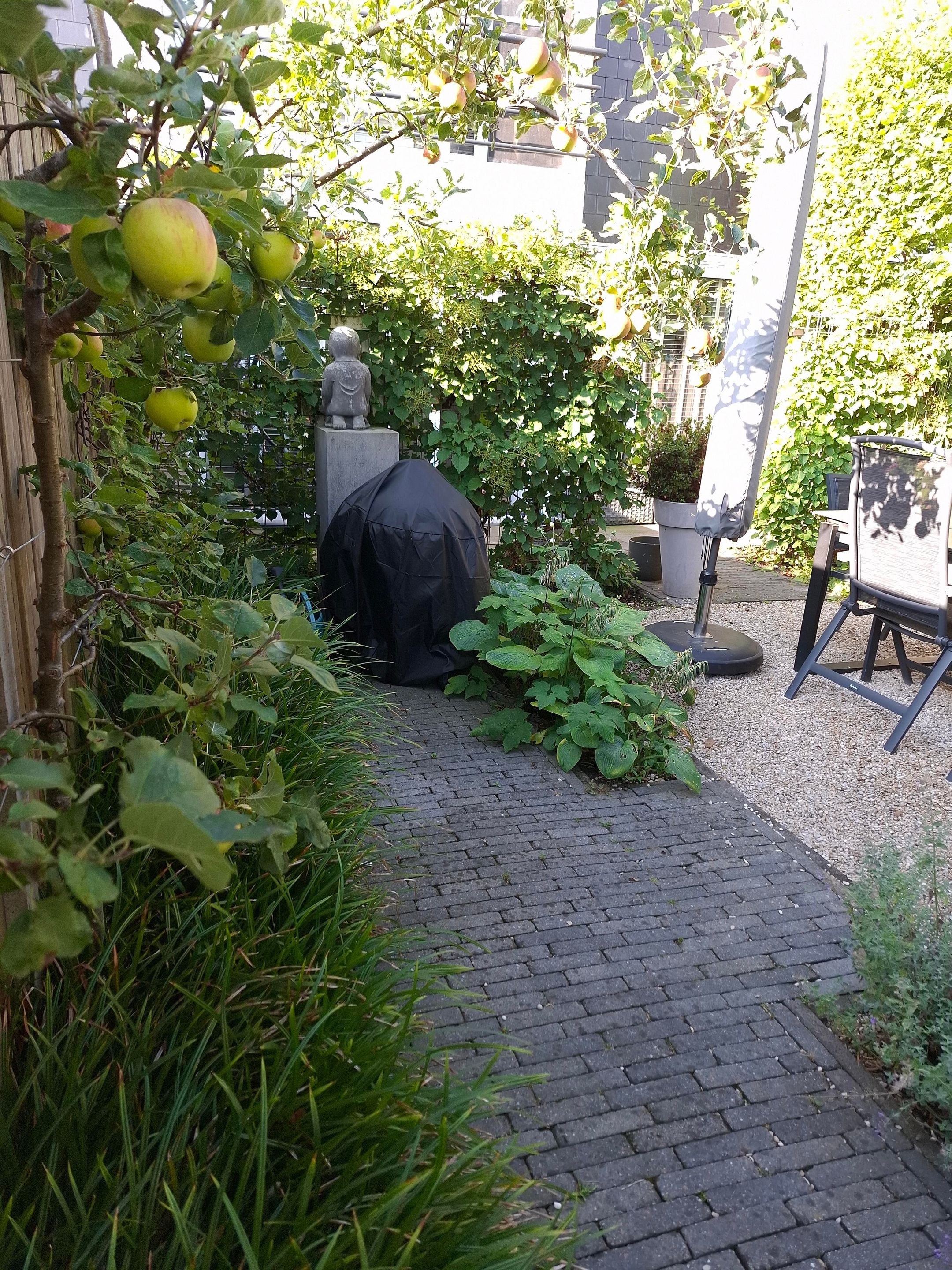 Photo 39 of Odiliapeelstraat 33