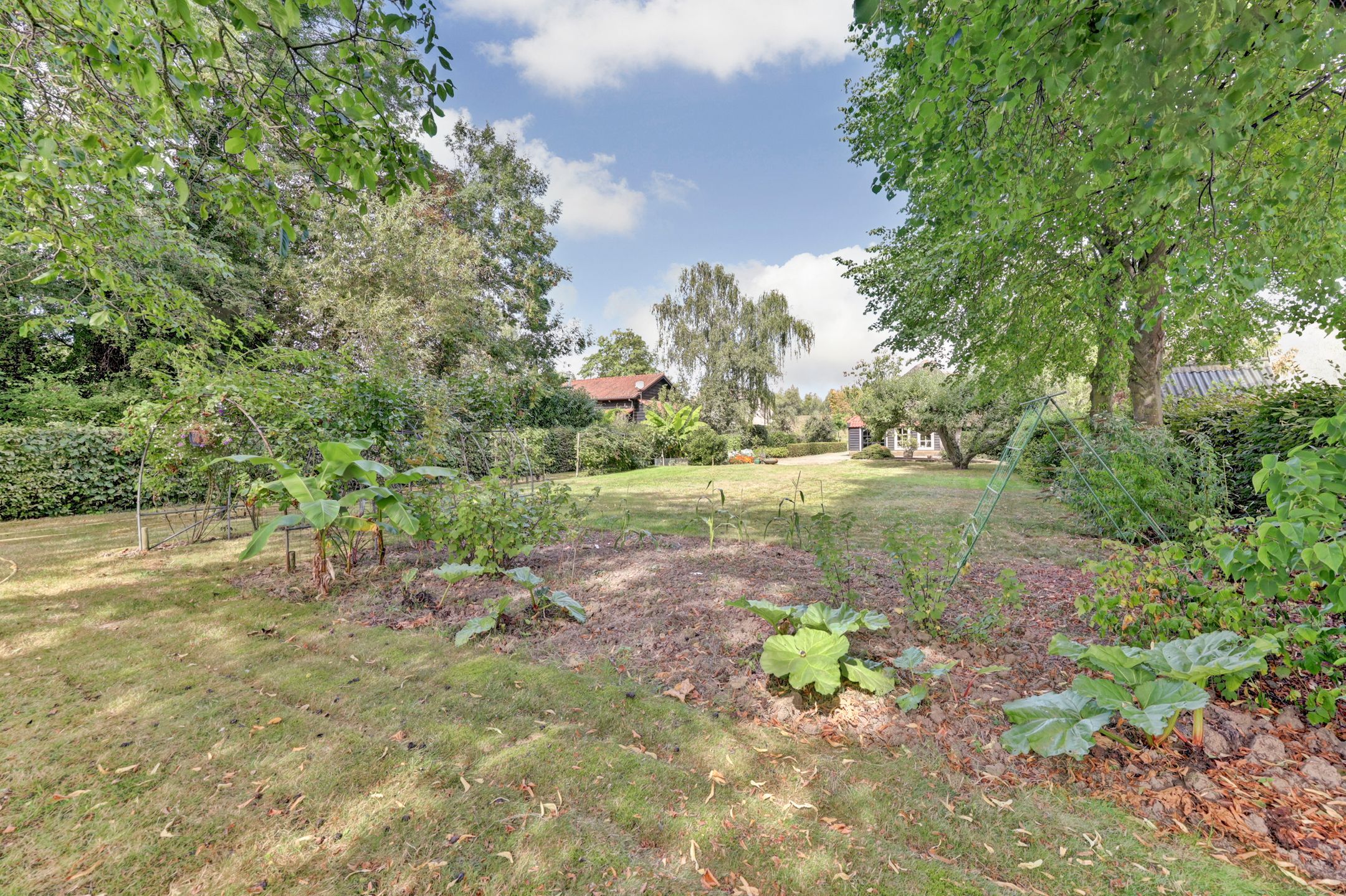 Photo 12 of Beemstraat 46