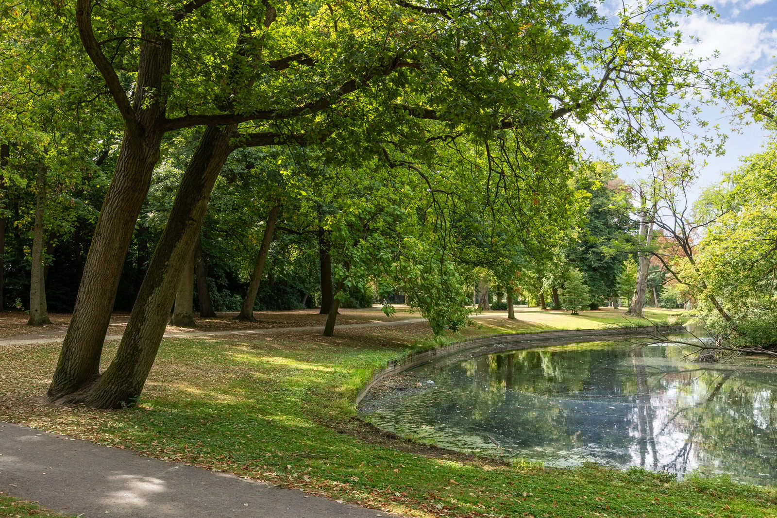 Foto 48 van Ploegveld 13