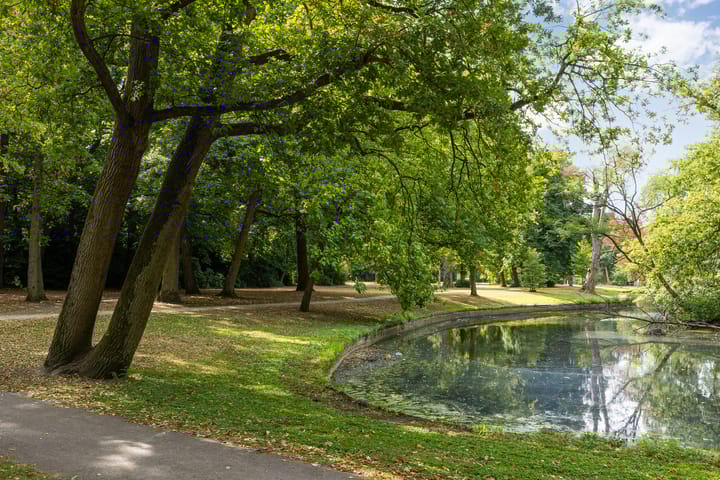 Foto 48 van Ploegveld 13