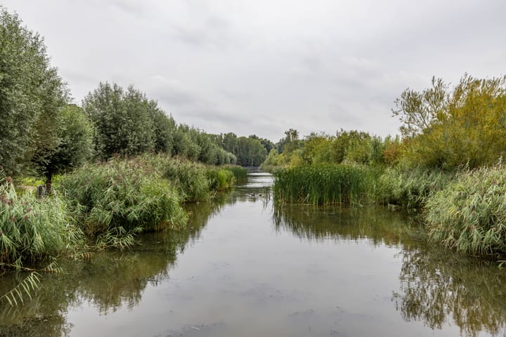 Foto 60 van Dolomietstraat 52