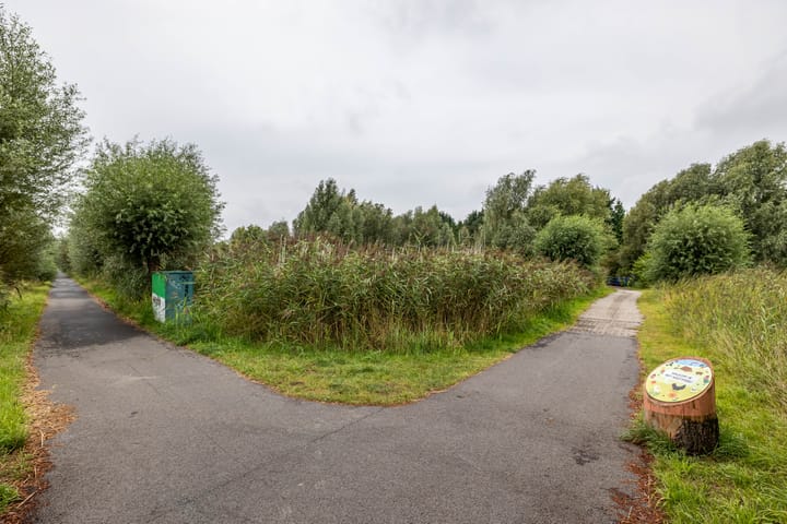 Foto 61 van Dolomietstraat 52