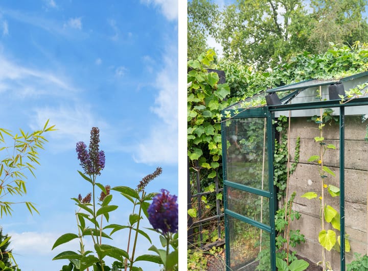 Foto 32 van Leidsevaart 554