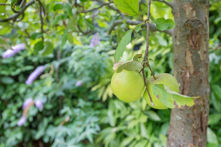 Foto 33 van Leidsevaart 554