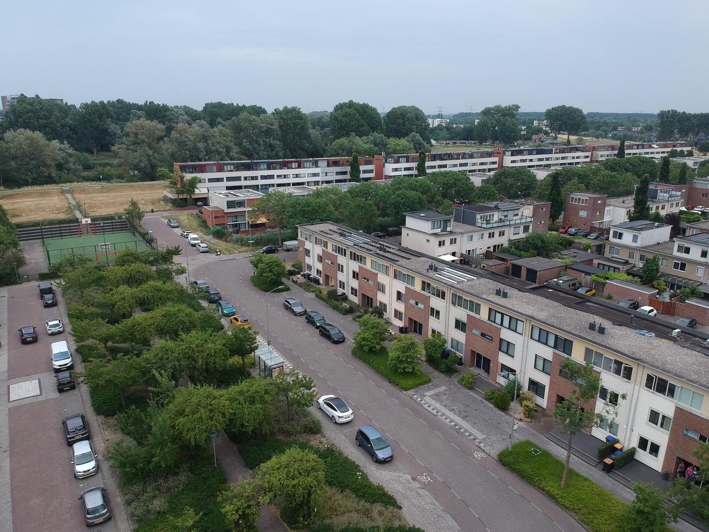 Photo 5 of Chico Mendesring 356