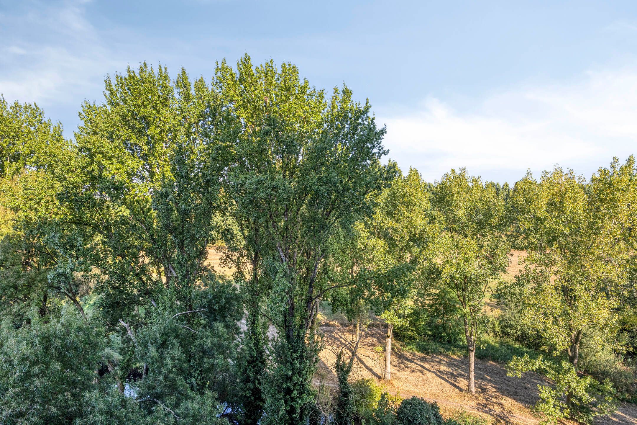 Photo 9 of Herman Gorterlaan 640