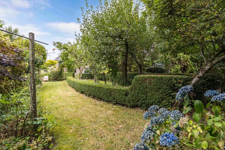 Foto 66 van Master de Jongwei 12