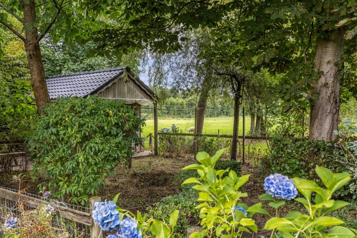 Foto 68 van Master de Jongwei 12