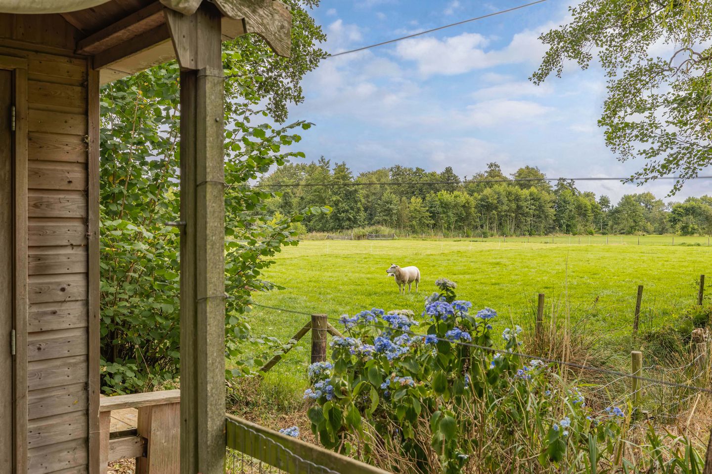 Foto 70 van Master de Jongwei 12