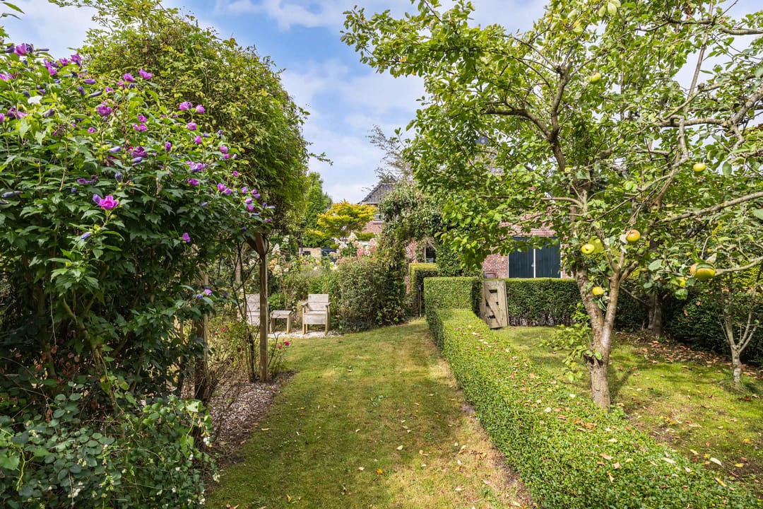 Foto 71 van Master de Jongwei 12