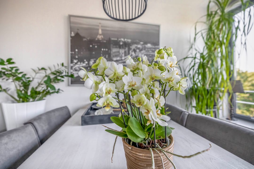 Foto 13 van Bachstraat 187