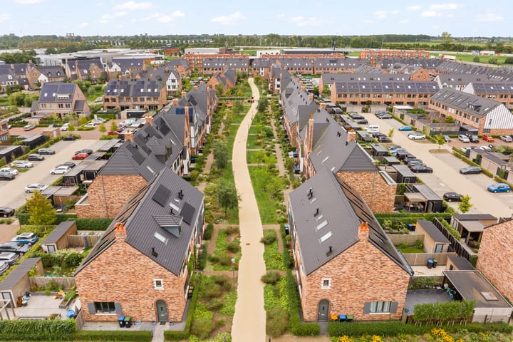 Foto 2 van Regenboogforel 16