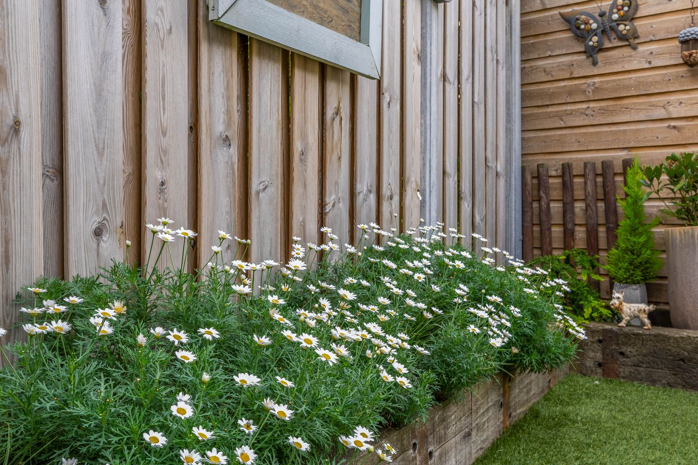 Foto 20 van Pettelaar 1