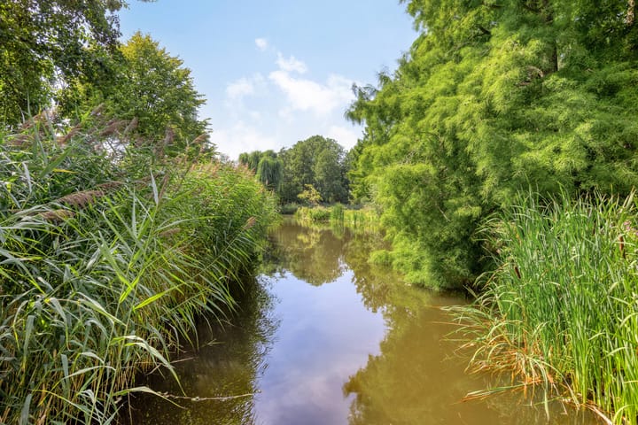 Foto 30 van Roemer Visscherstraat 7