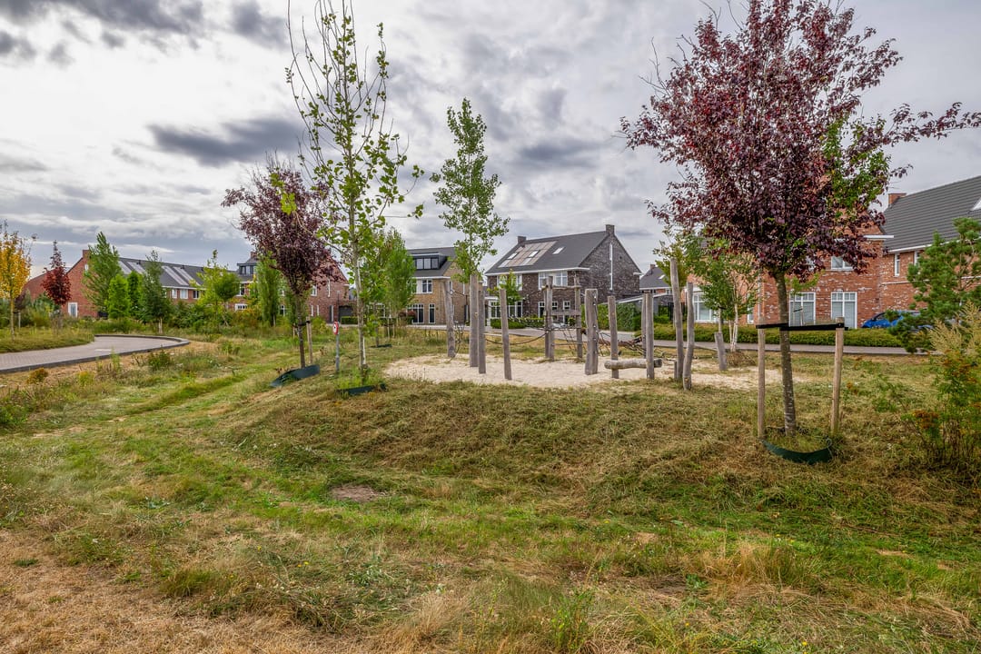 Foto 28 van Pettelaar 1